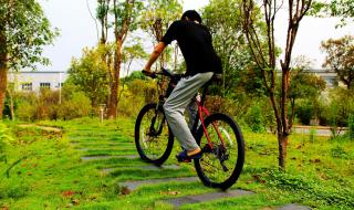 性价比高的山地车