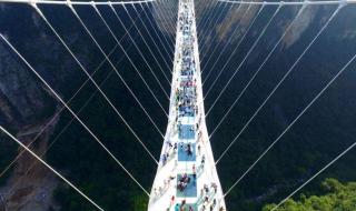 张家界报团旅游价