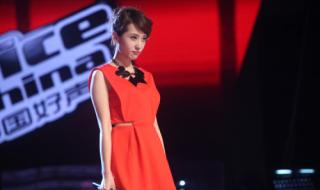 中国好声音的歌曲